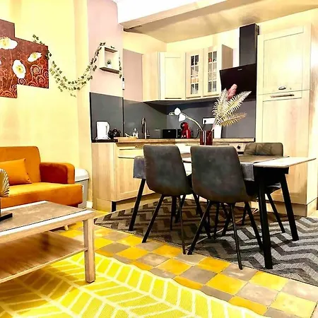 En Plein Coeur De L Elegant Apartment Perpignan